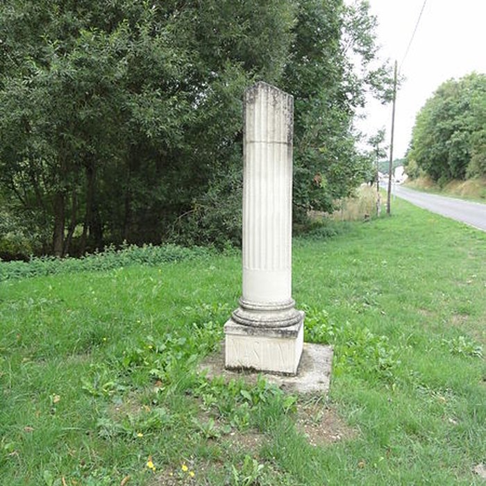 Photo de Ruines romaines de Nasium à Naix-aux-Forges