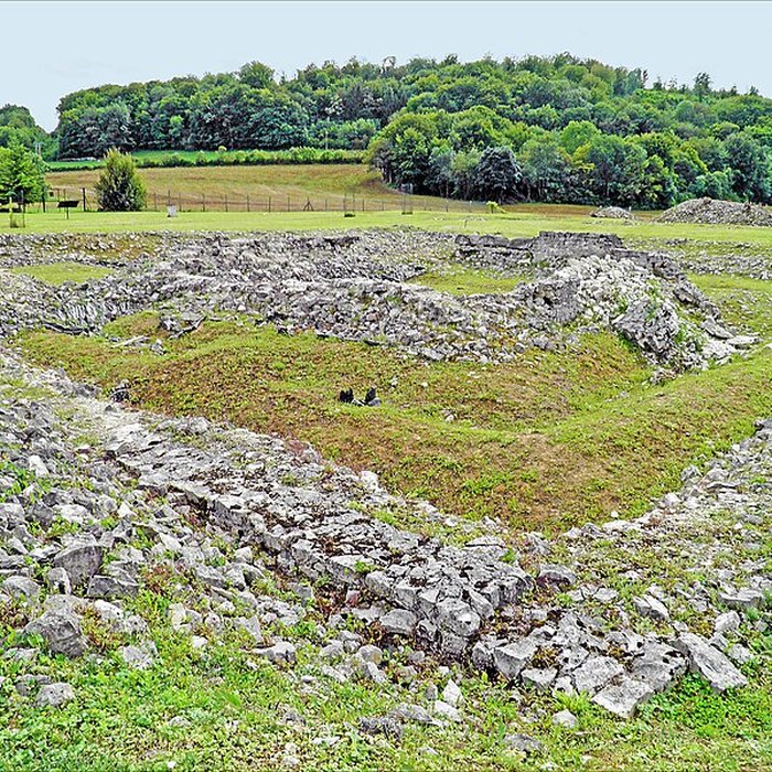 Photo de Ruines romaines de Nasium à Naix-aux-Forges
