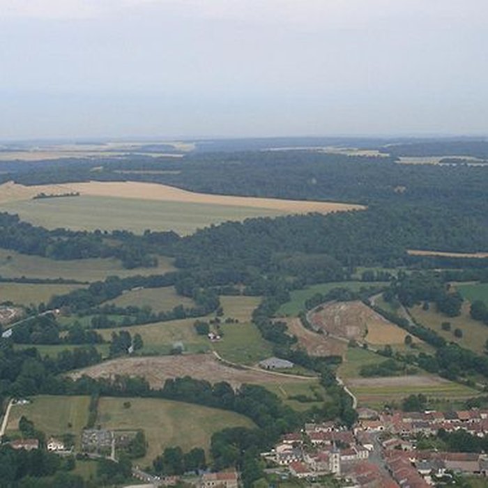 Photo de Ruines romaines de Nasium à Naix-aux-Forges