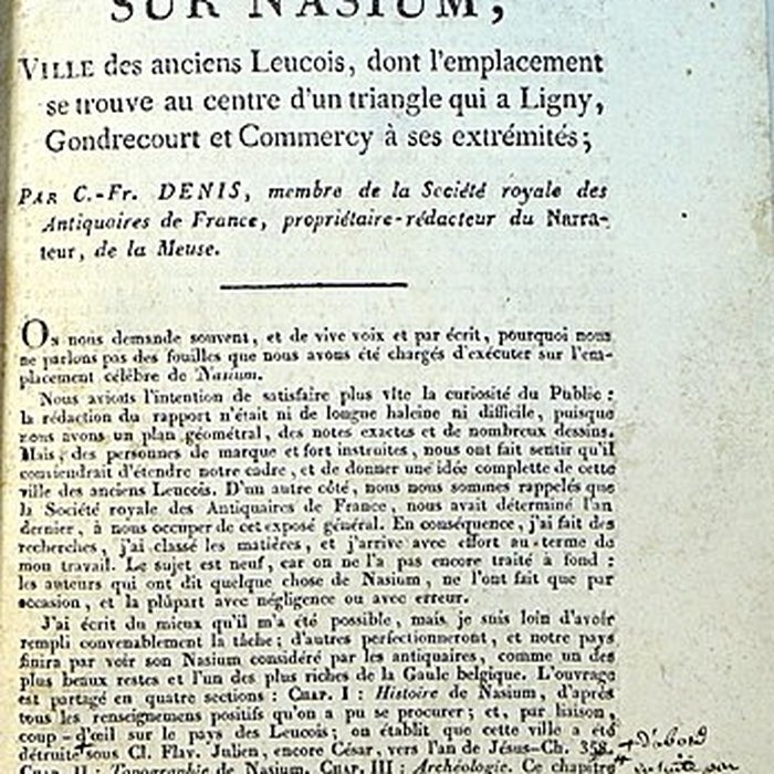 Photo de Ruines romaines de Nasium à Naix-aux-Forges