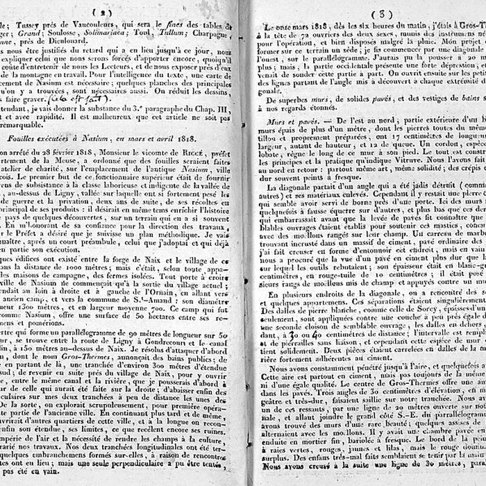 Photo de Ruines romaines de Nasium à Naix-aux-Forges