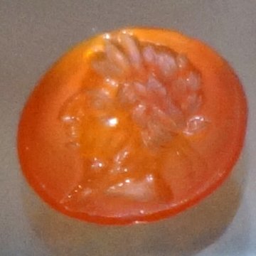 Ruines romaines de Nasium à Naix-aux-Forges