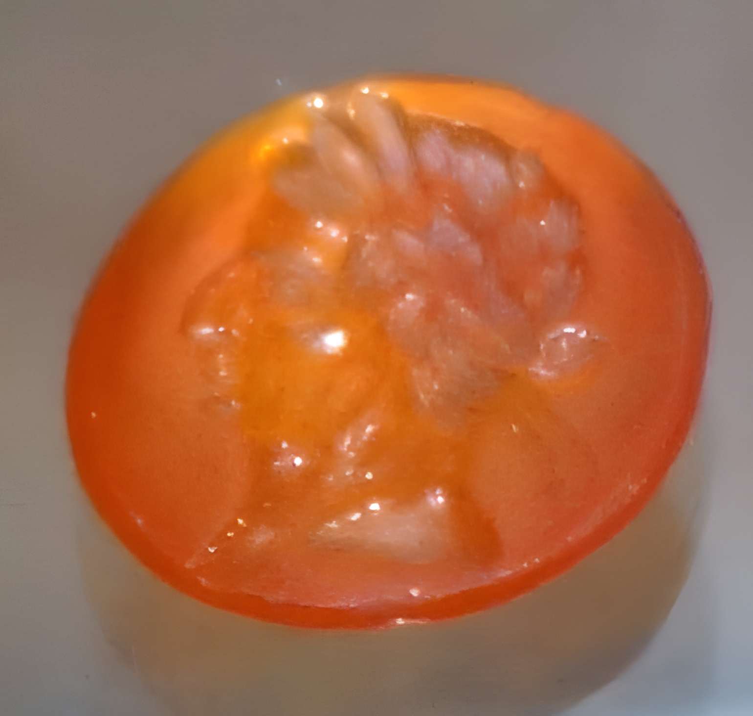 Ruines romaines de Nasium à Naix-aux-Forges