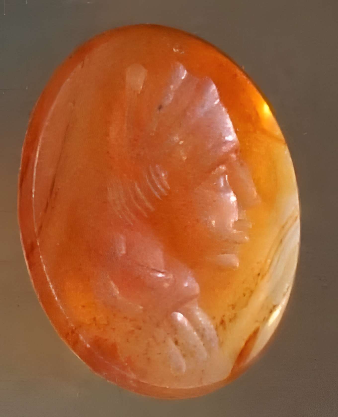 Ruines romaines de Nasium à Naix-aux-Forges