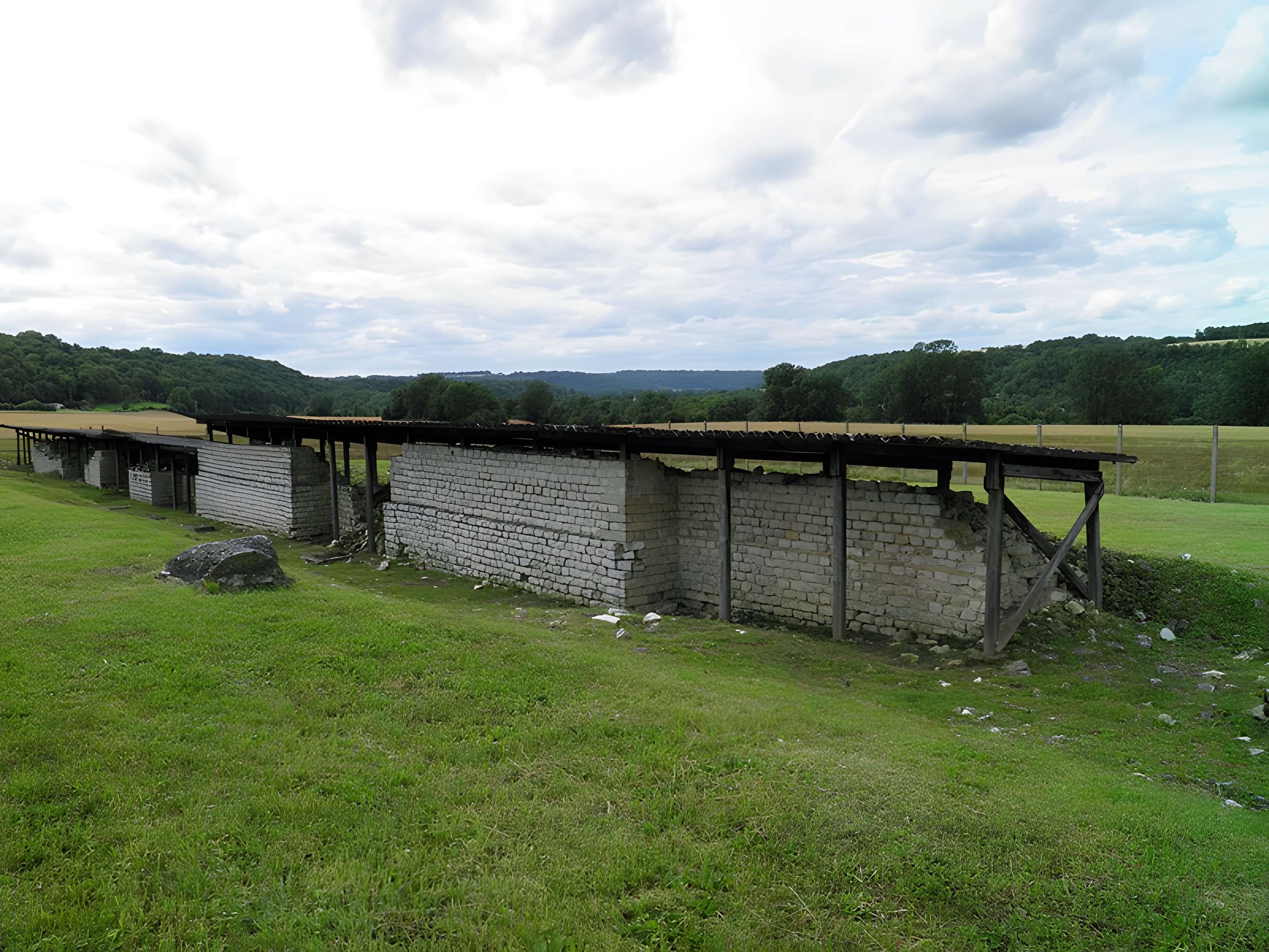 Ruines romaines de Nasium à Naix-aux-Forges