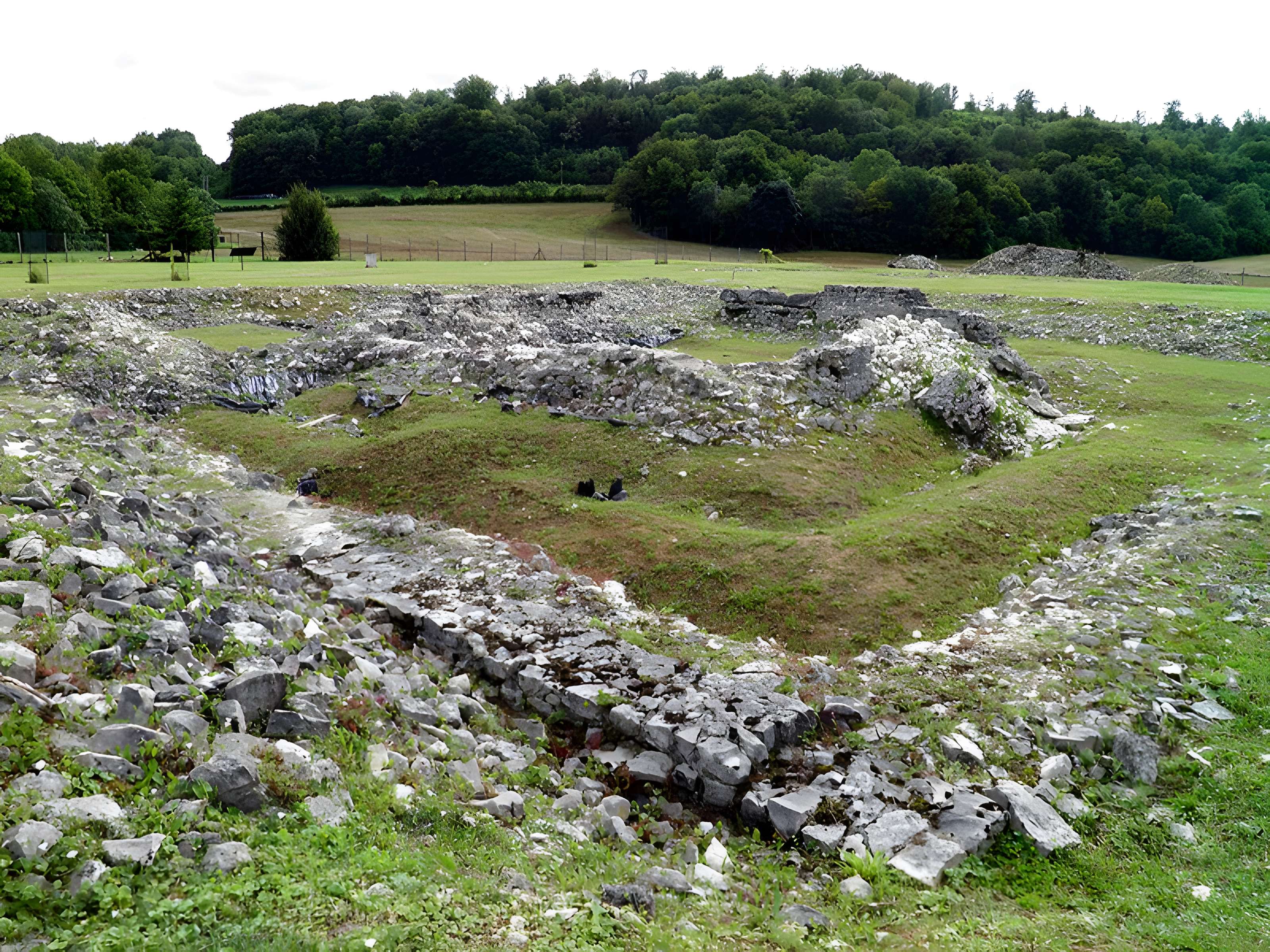 Ruines romaines de Nasium à Naix-aux-Forges