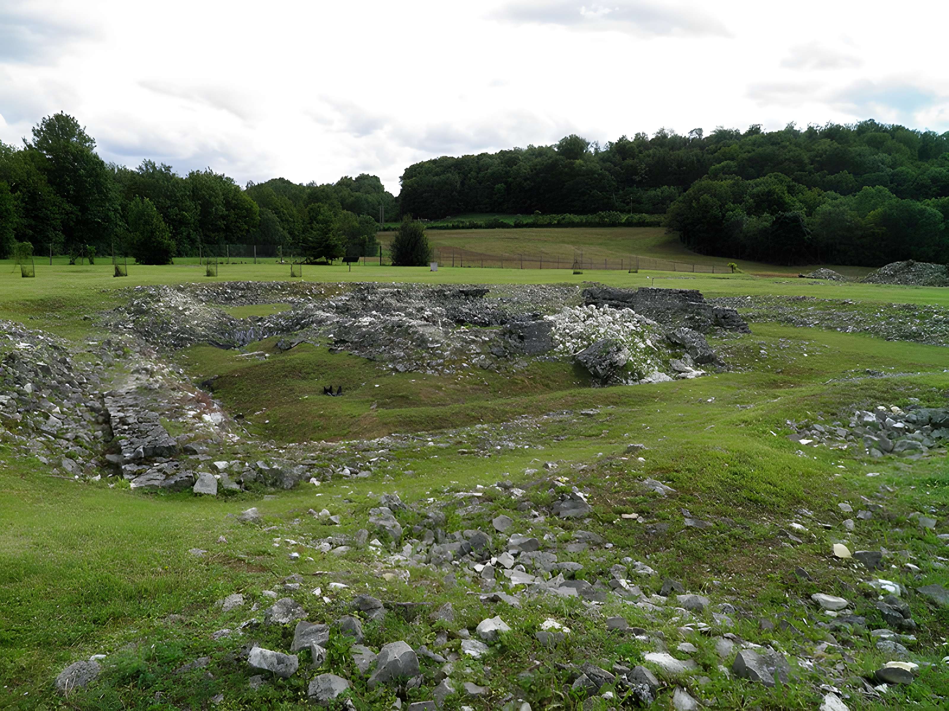 Ruines romaines de Nasium à Naix-aux-Forges