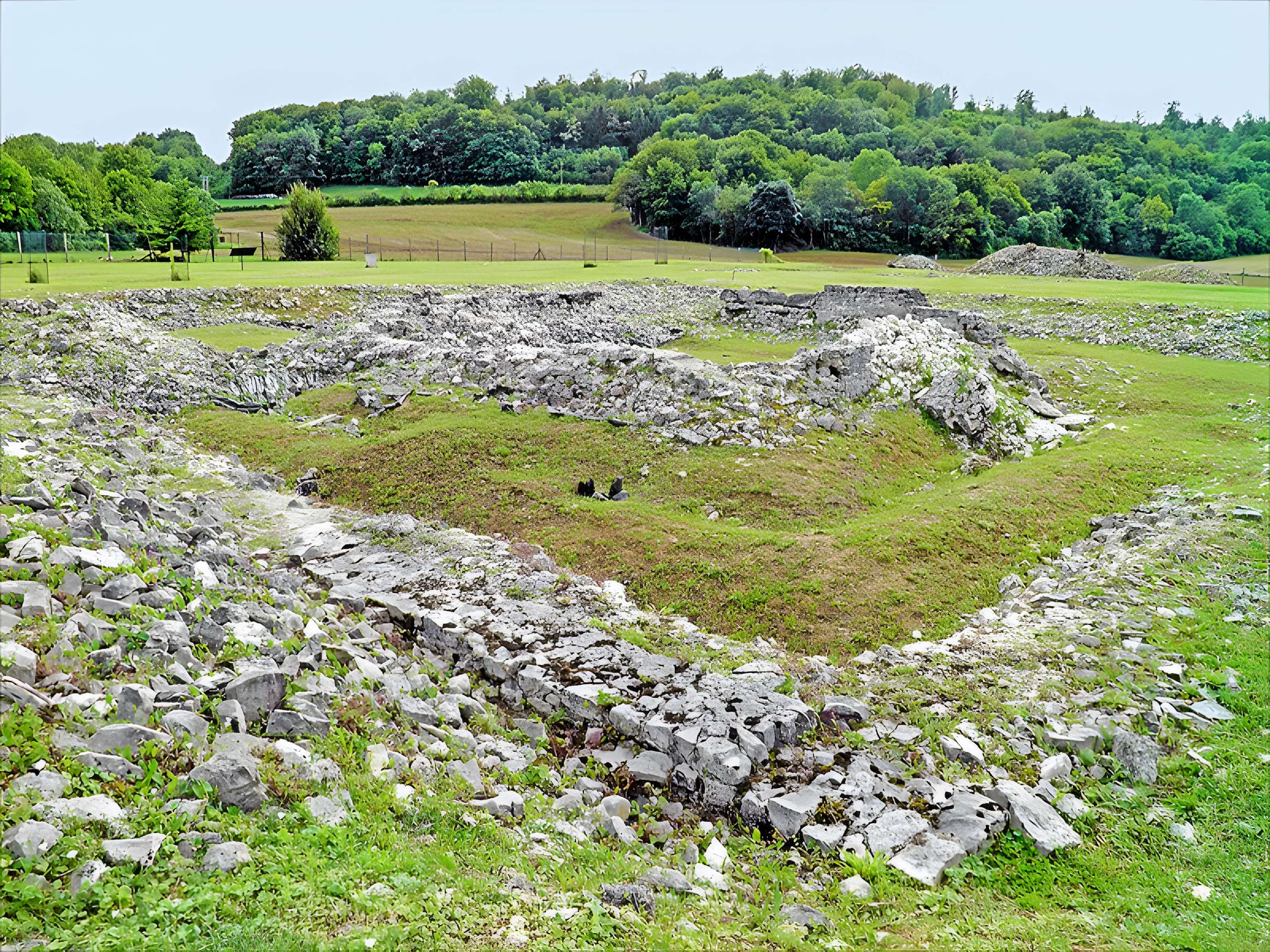 Ruines romaines de Nasium à Naix-aux-Forges