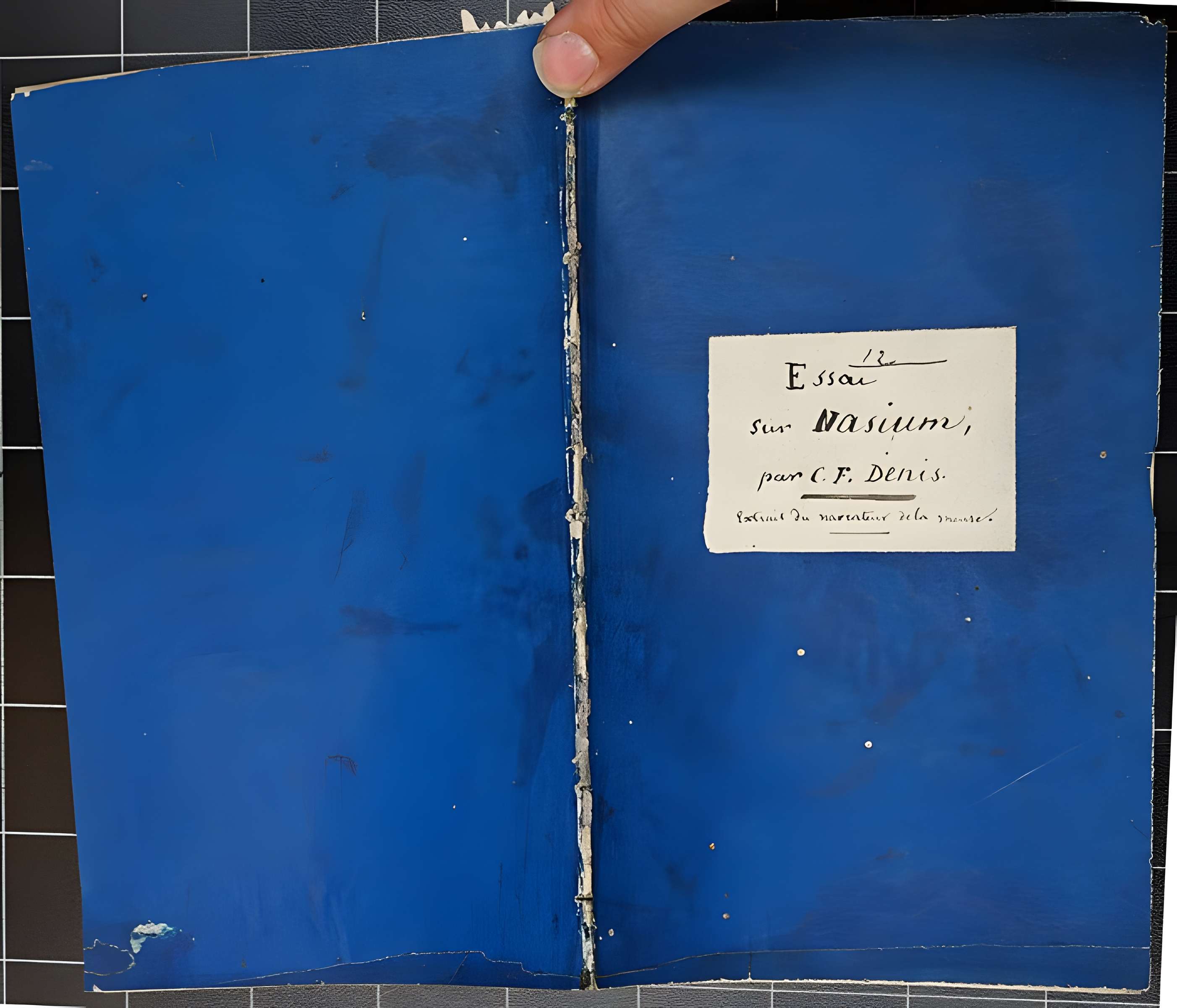 Ruines romaines de Nasium à Naix-aux-Forges