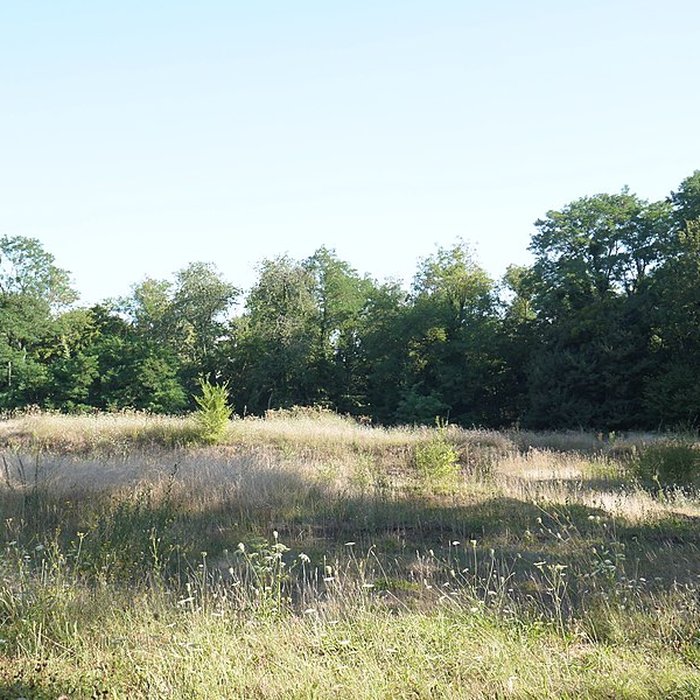Photo de Sanctuaire de Mars Mullo à Allonnes