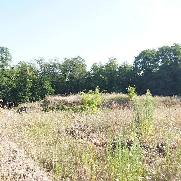 Photo de Sanctuaire de Mars Mullo à Allonnes