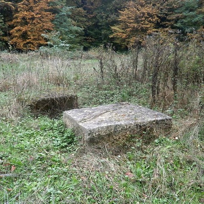 Photo de Sanctuaire de Mars Mullo à Allonnes