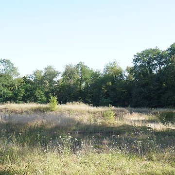 Sanctuaire de Mars Mullo à Allonnes
