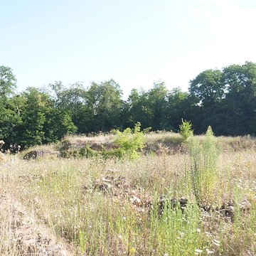 Sanctuaire de Mars Mullo à Allonnes