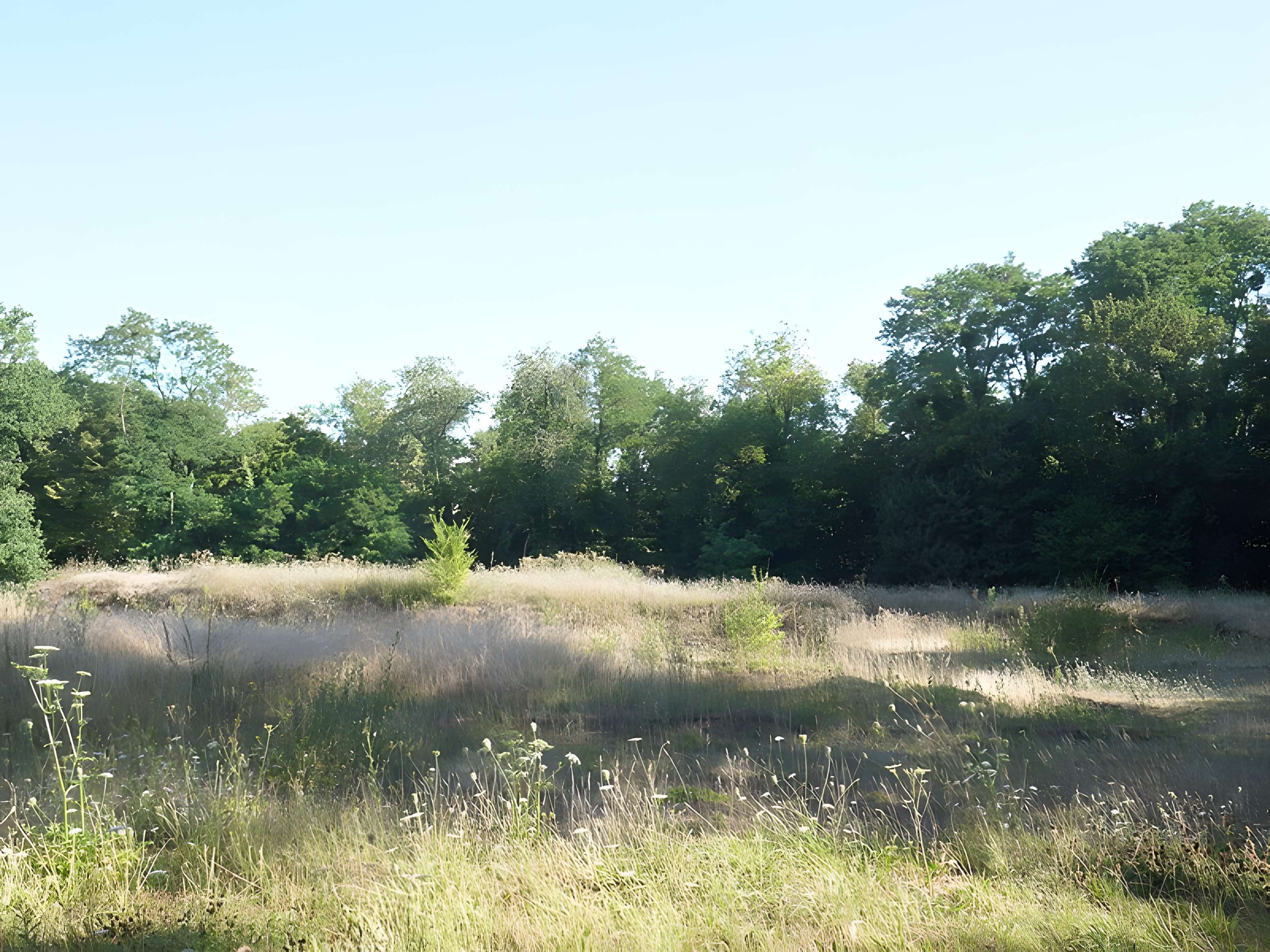 Sanctuaire de Mars Mullo à Allonnes