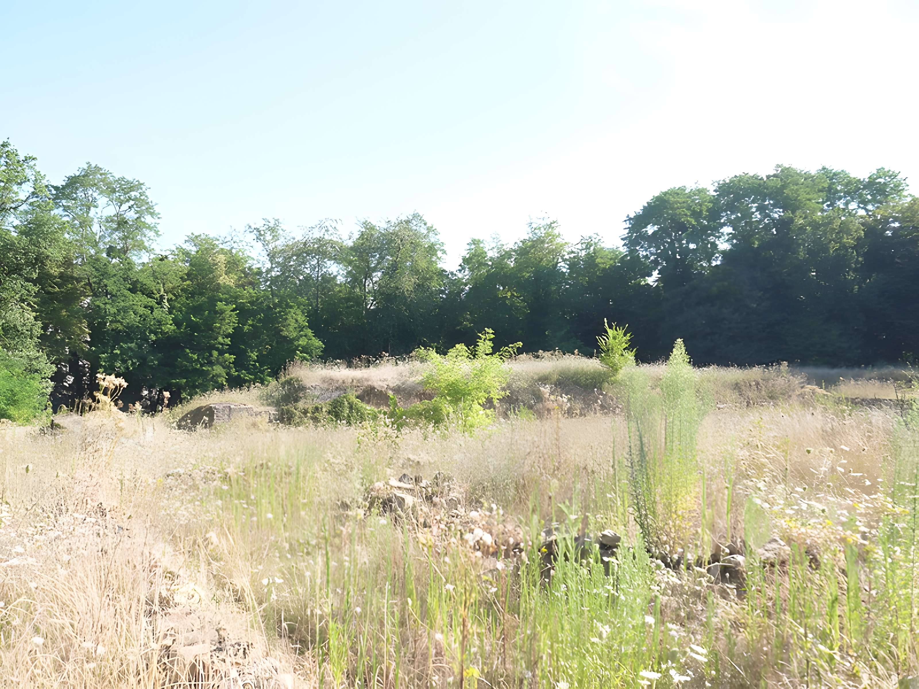Sanctuaire de Mars Mullo à Allonnes