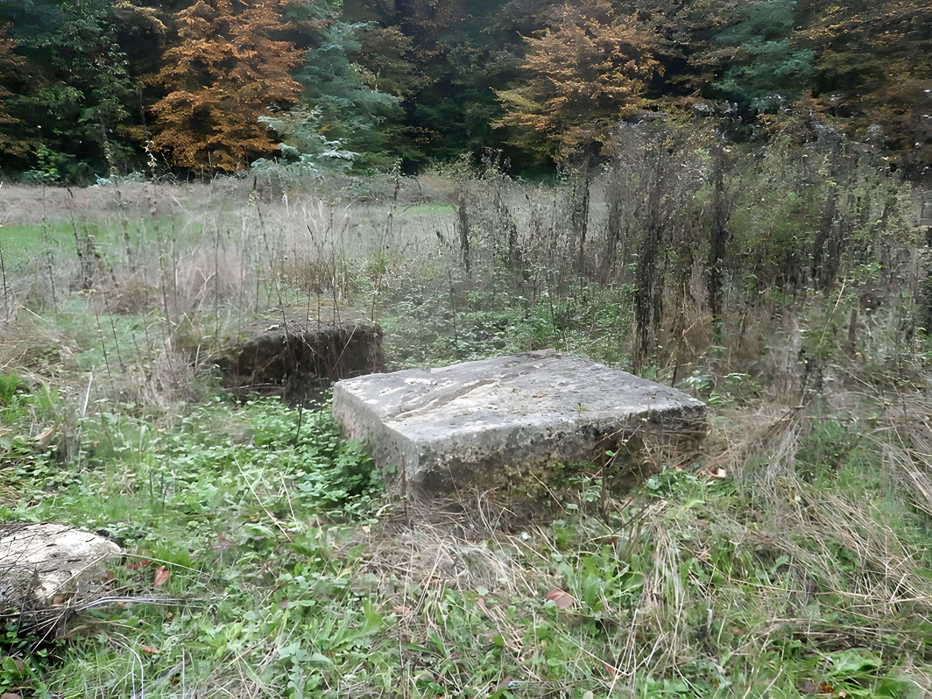 Sanctuaire de Mars Mullo à Allonnes