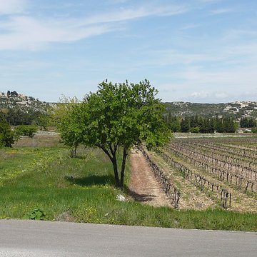 Sanctuaire de Notre-Dame-de-Grâce à Rochefort-du-Gard