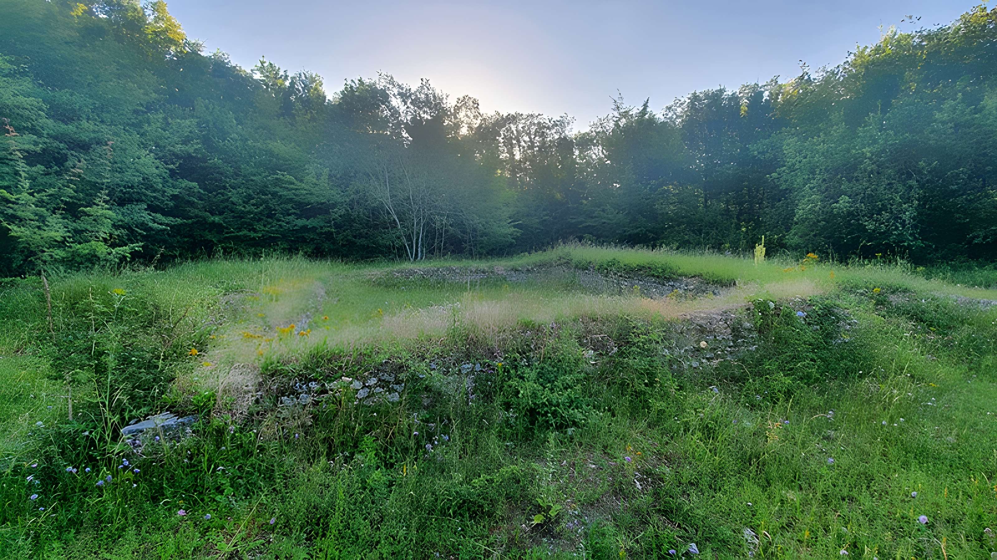 Sanctuaire gallo-romain de Bû