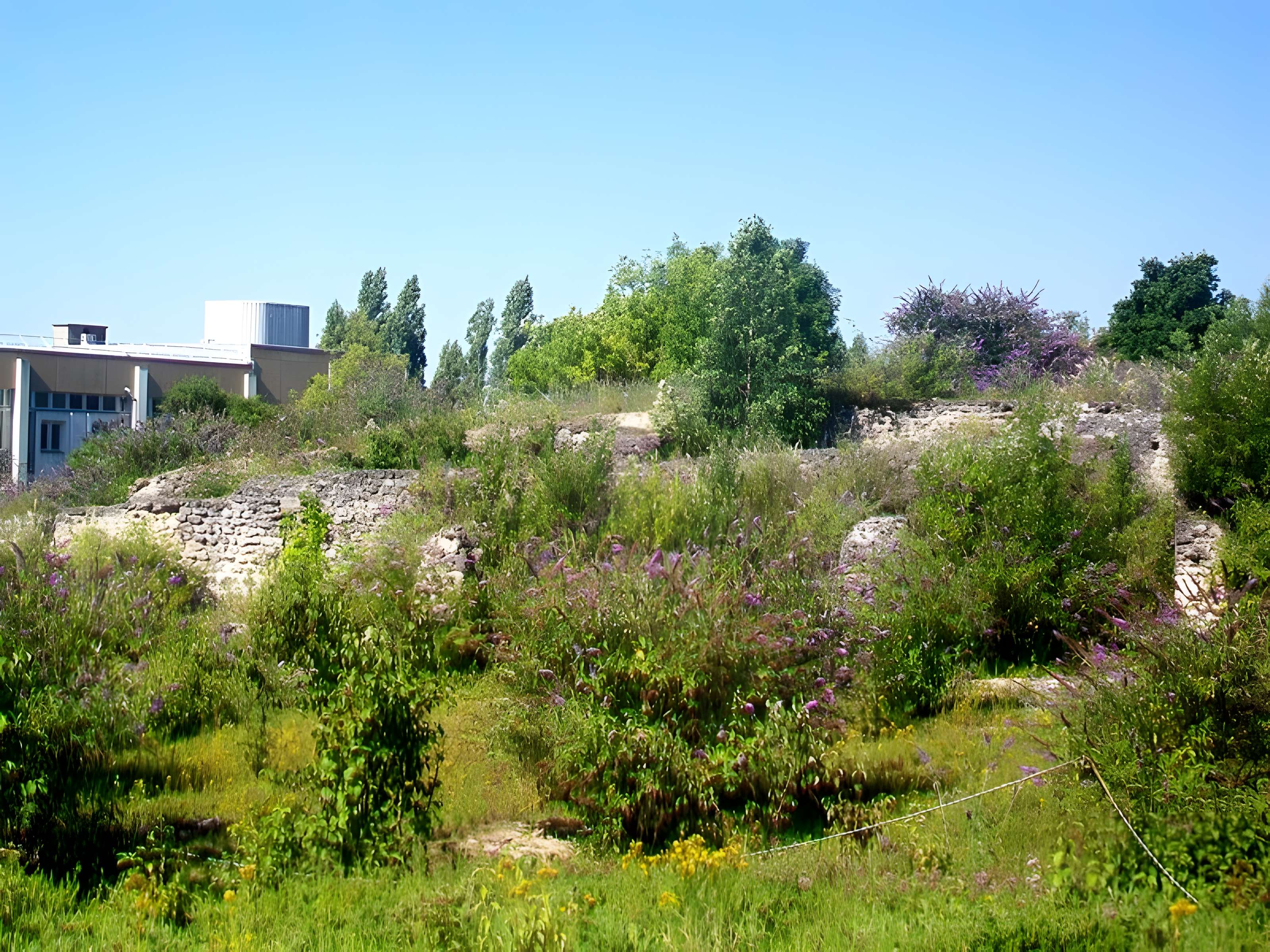 Sanctuaire gallo-romain de la Bauve à Meaux 