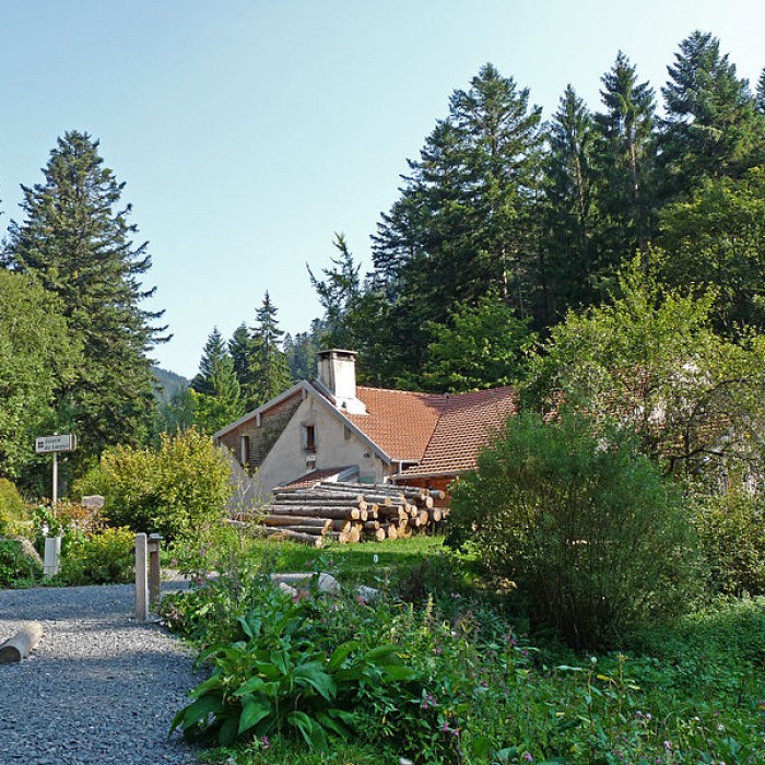 Photo de Scierie du Lançoir à Ban-sur-Meurthe-Clefcy