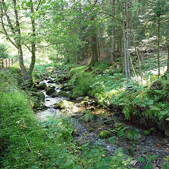Photo de Scierie du Lançoir à Ban-sur-Meurthe-Clefcy