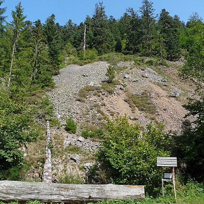 Photo de Scierie du Lançoir à Ban-sur-Meurthe-Clefcy