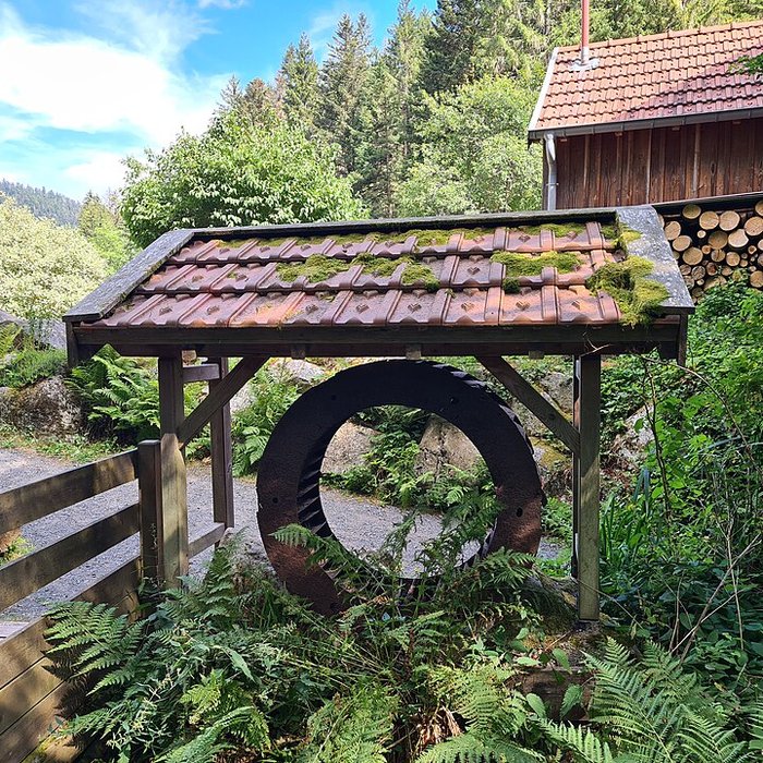 Photo de Scierie du Lançoir à Ban-sur-Meurthe-Clefcy