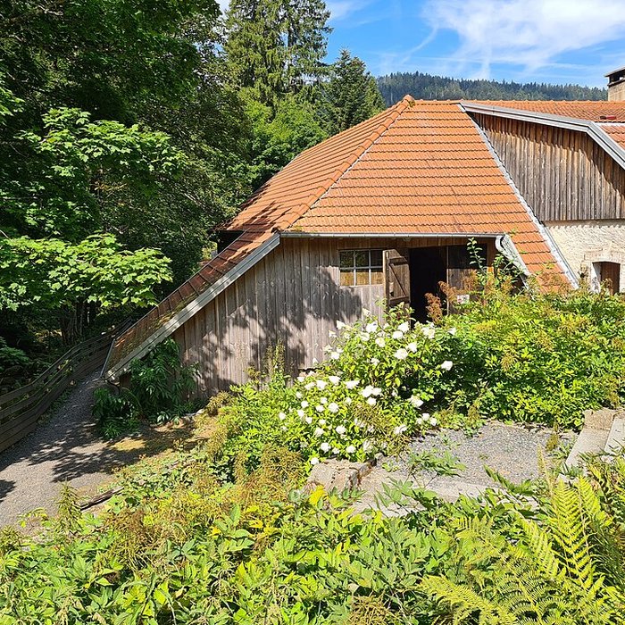 Photo de Scierie du Lançoir à Ban-sur-Meurthe-Clefcy