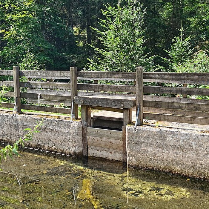 Photo de Scierie du Lançoir à Ban-sur-Meurthe-Clefcy