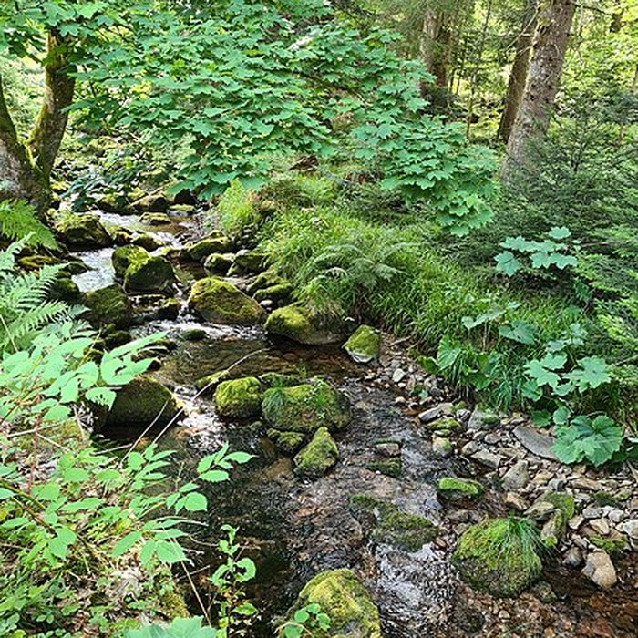 Photo de Scierie du Lançoir à Ban-sur-Meurthe-Clefcy