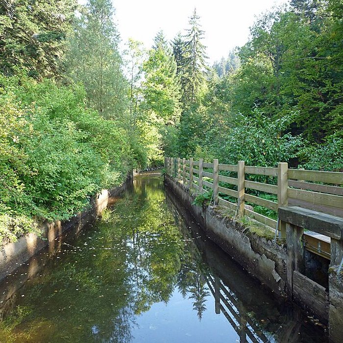 Photo de Scierie du Lançoir à Ban-sur-Meurthe-Clefcy