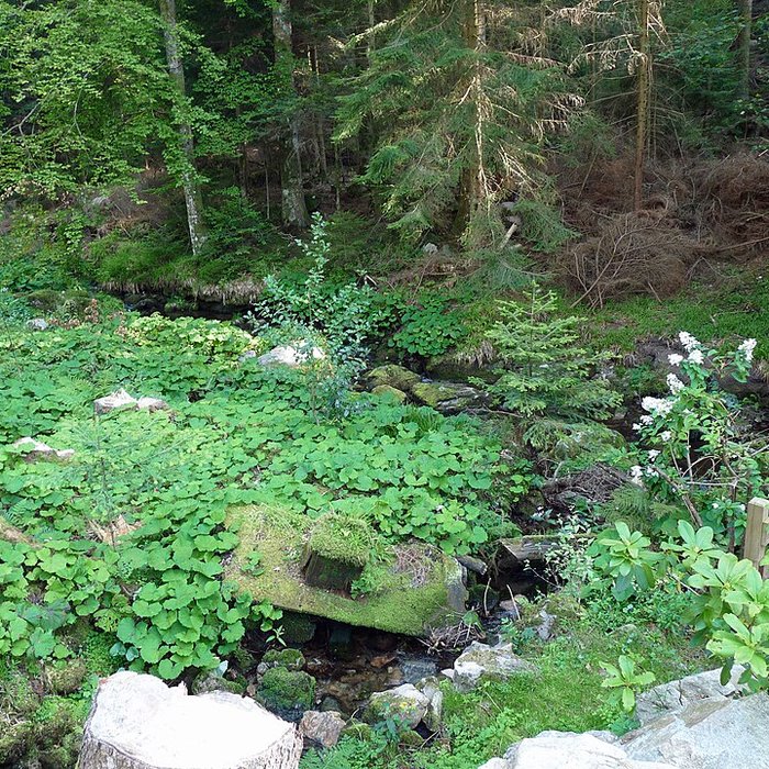 Photo de Scierie du Lançoir à Ban-sur-Meurthe-Clefcy