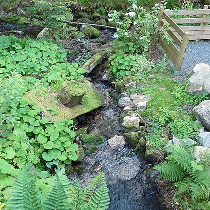 Photo de Scierie du Lançoir à Ban-sur-Meurthe-Clefcy