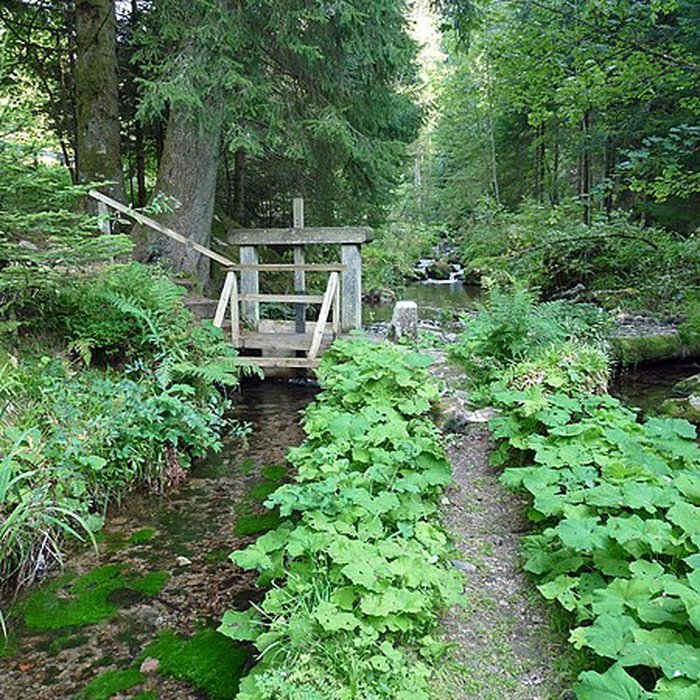 Photo de Scierie du Lançoir à Ban-sur-Meurthe-Clefcy
