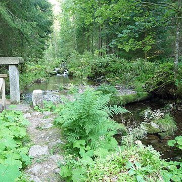 Scierie du Lançoir à Ban-sur-Meurthe-Clefcy