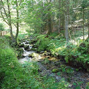 Scierie du Lançoir à Ban-sur-Meurthe-Clefcy