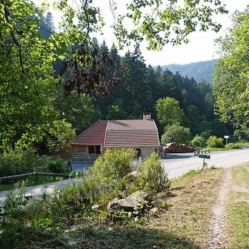 Scierie du Lançoir à Ban-sur-Meurthe-Clefcy