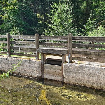 Scierie du Lançoir à Ban-sur-Meurthe-Clefcy