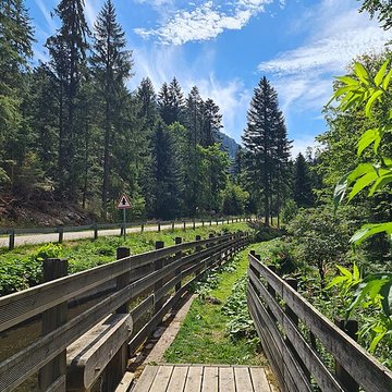 Scierie du Lançoir à Ban-sur-Meurthe-Clefcy