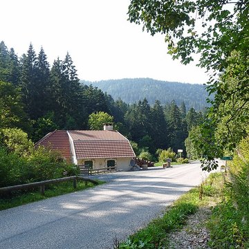 Scierie du Lançoir à Ban-sur-Meurthe-Clefcy