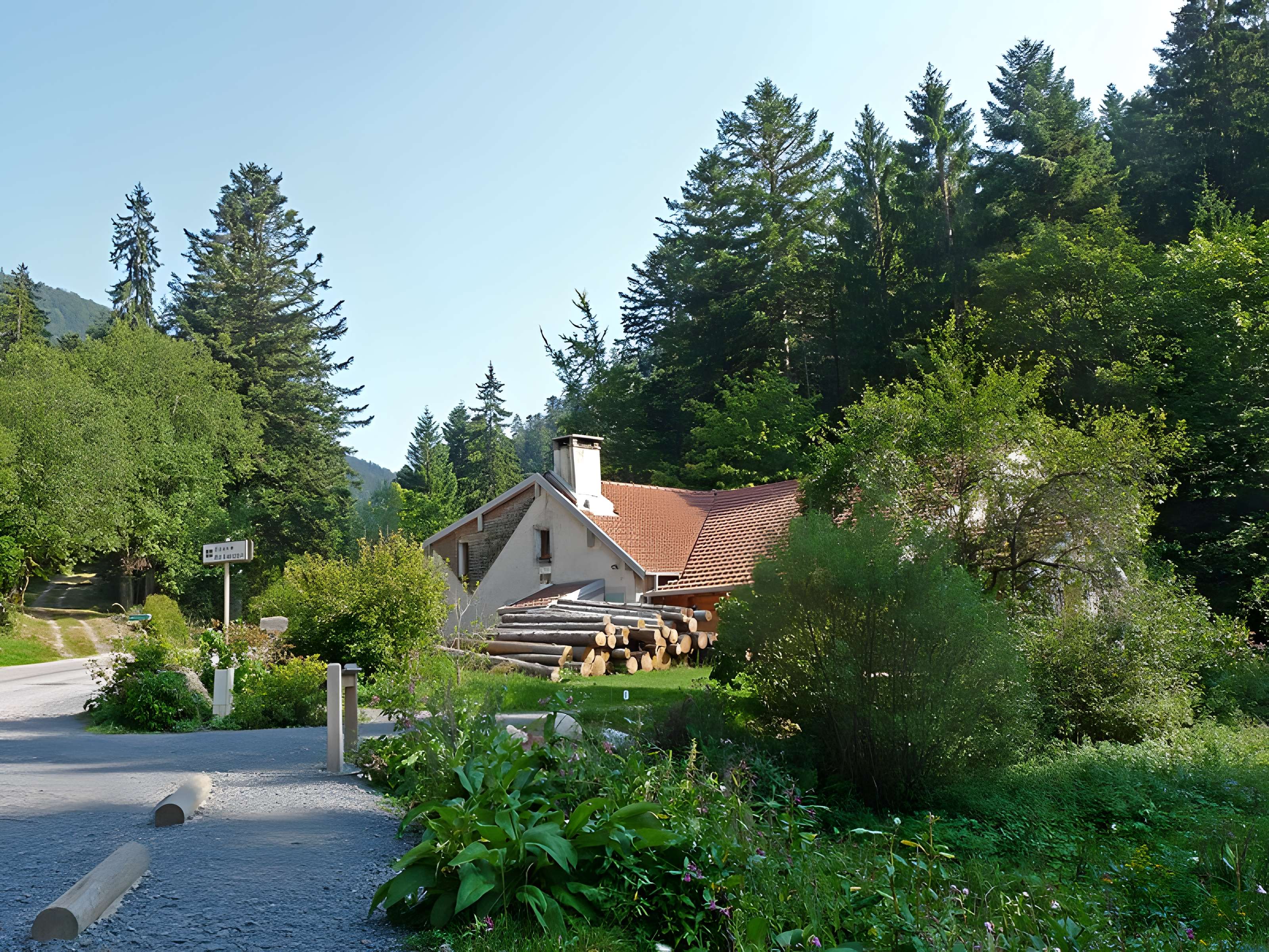 Scierie du Lançoir à Ban-sur-Meurthe-Clefcy 