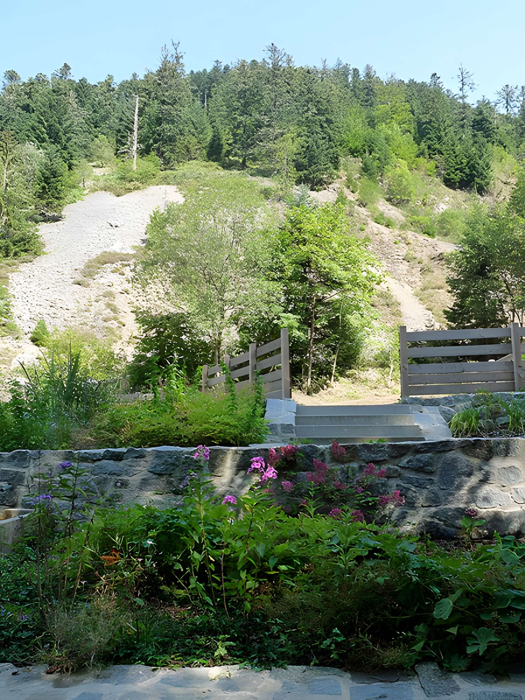 Scierie du Lançoir à Ban-sur-Meurthe-Clefcy