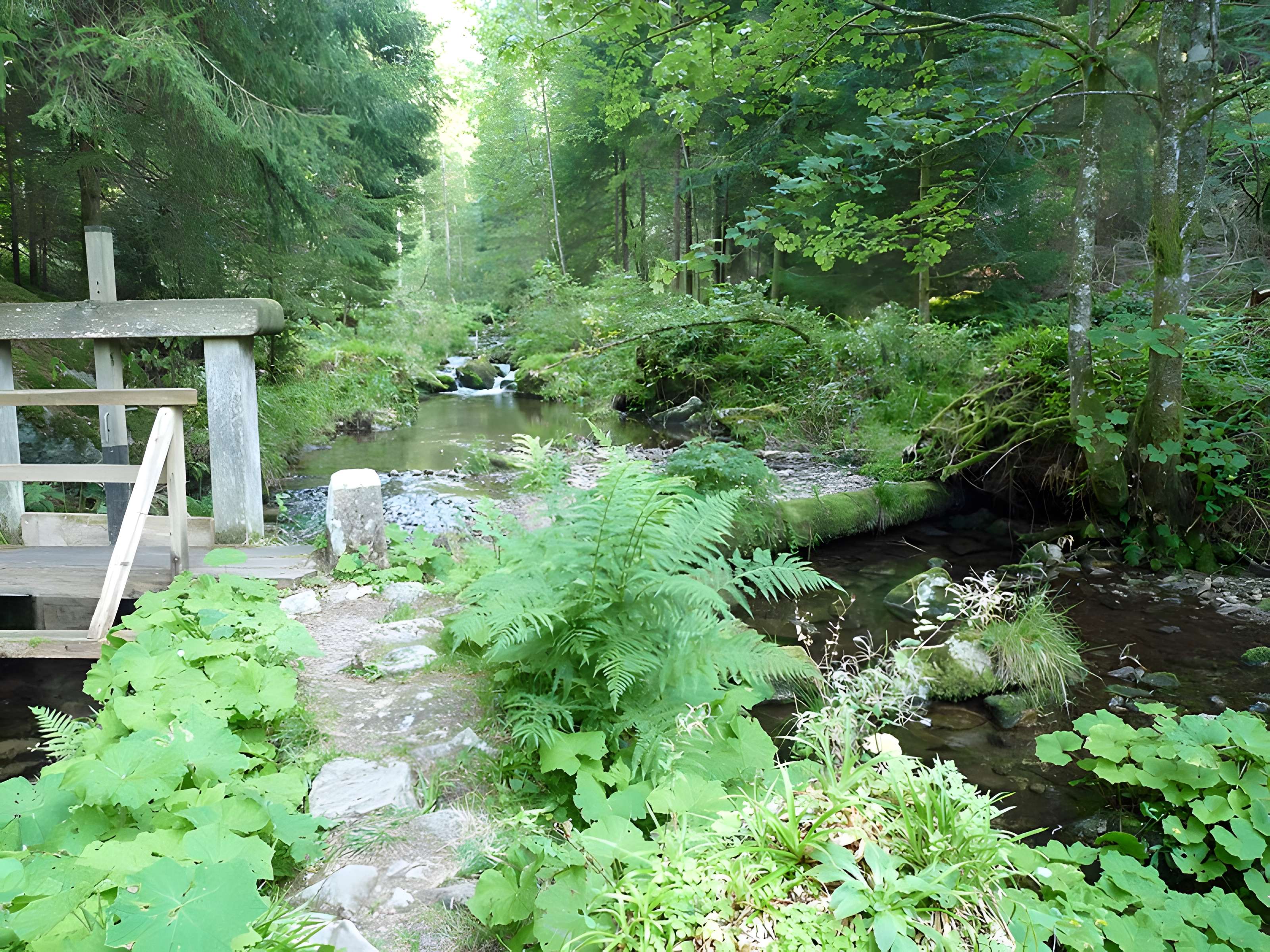 Scierie du Lançoir à Ban-sur-Meurthe-Clefcy