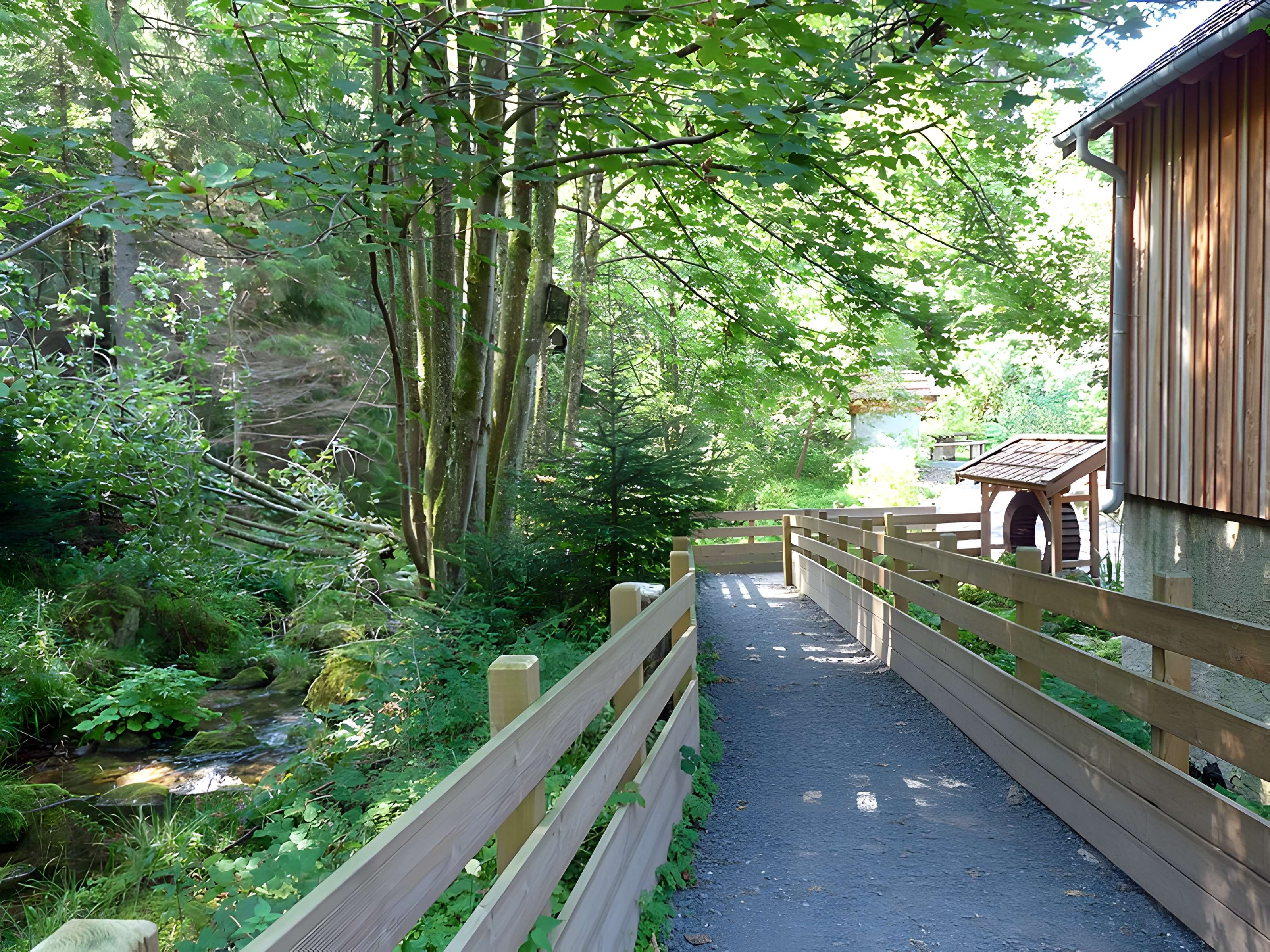 Scierie du Lançoir à Ban-sur-Meurthe-Clefcy