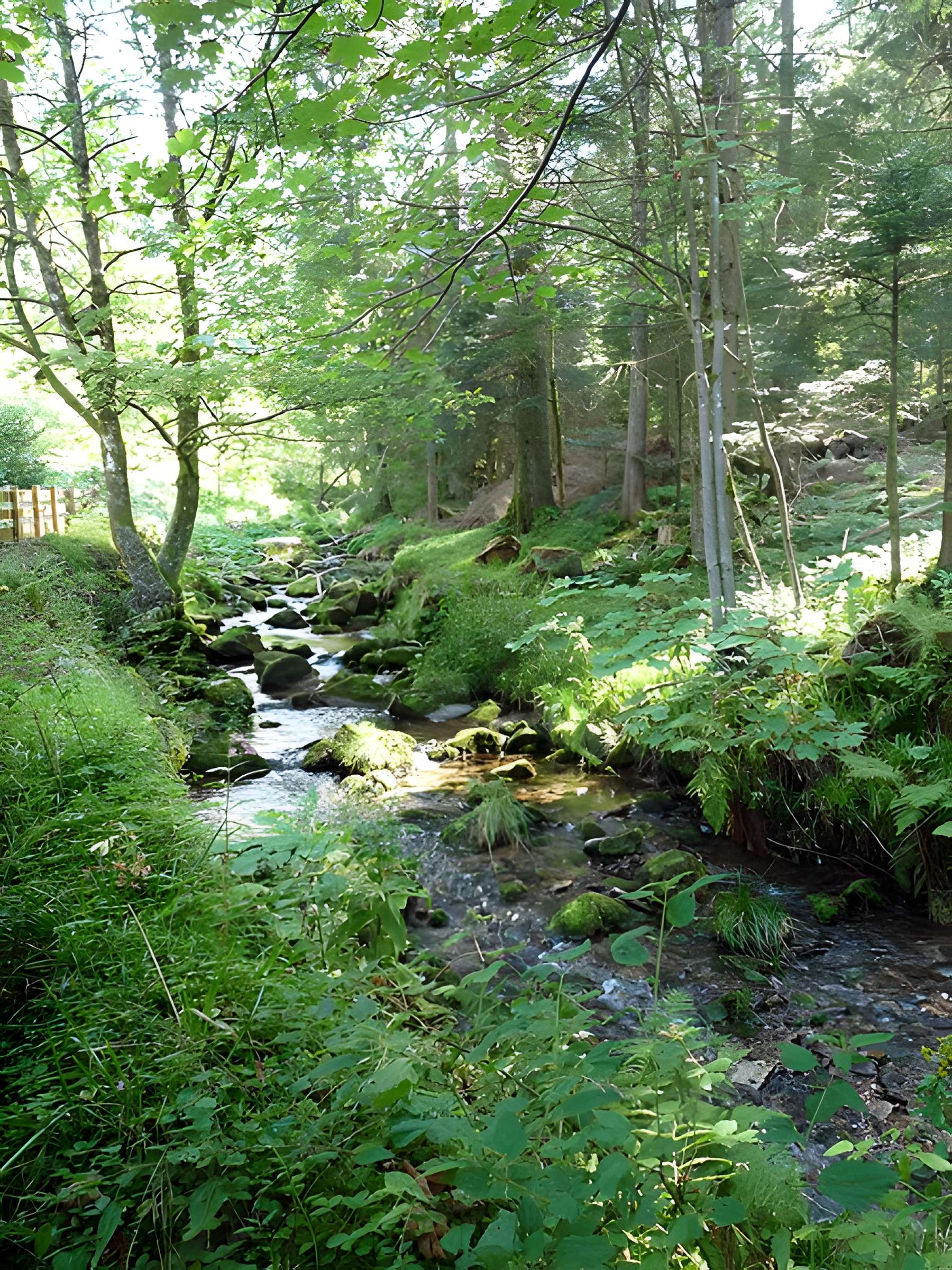 Scierie du Lançoir à Ban-sur-Meurthe-Clefcy