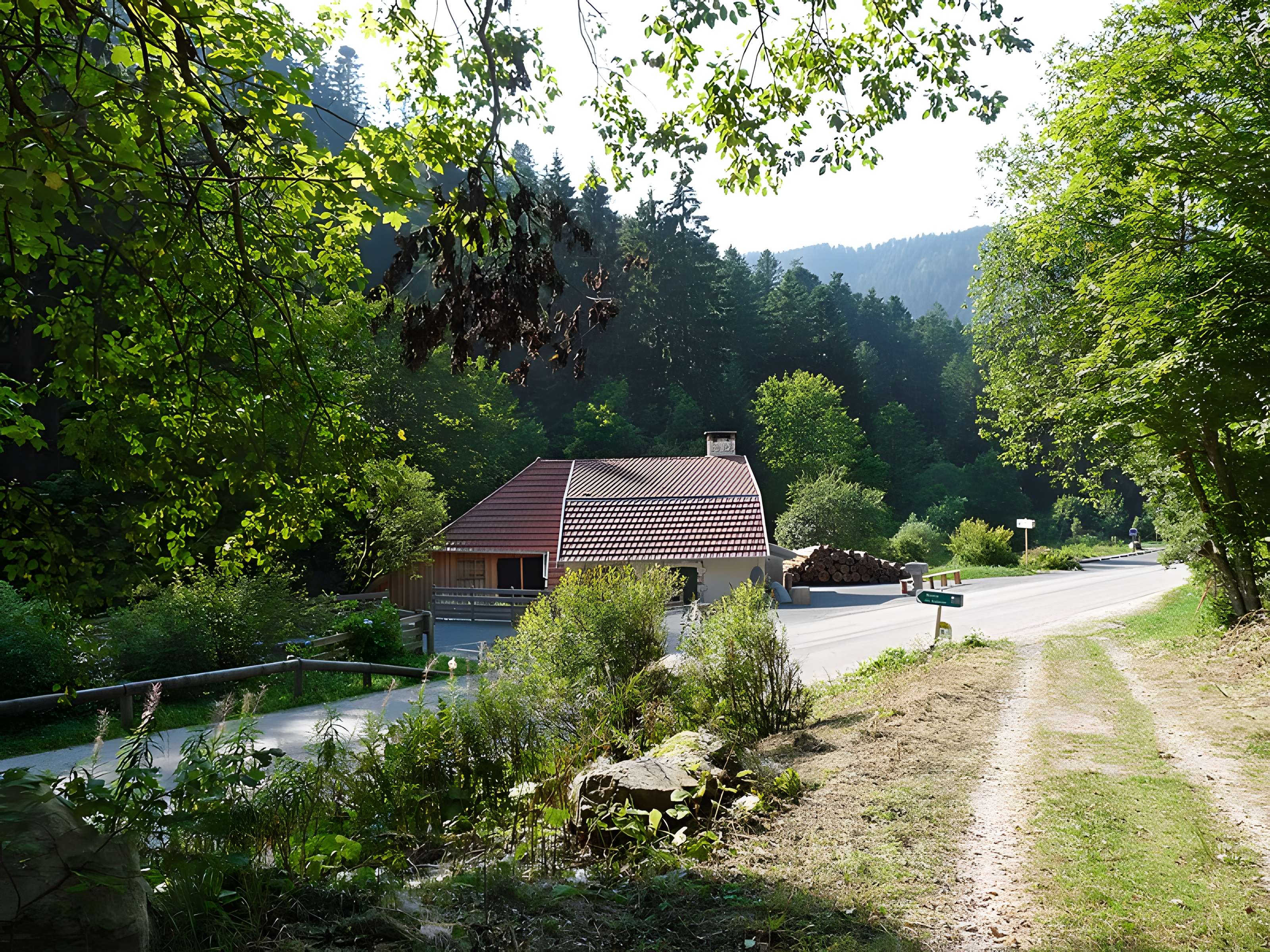Scierie du Lançoir à Ban-sur-Meurthe-Clefcy