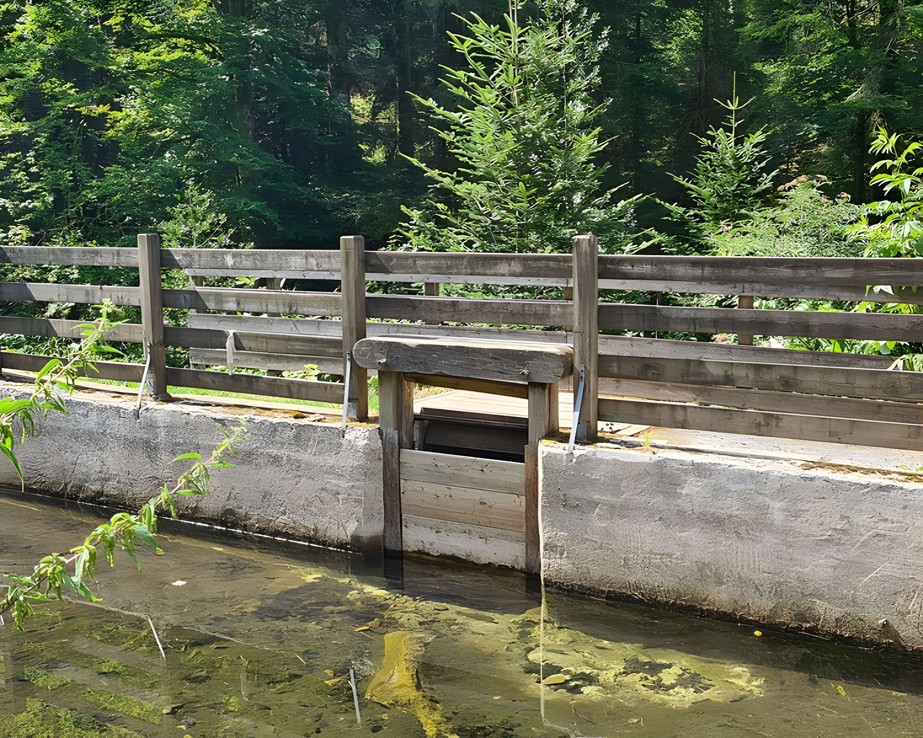 Scierie du Lançoir à Ban-sur-Meurthe-Clefcy