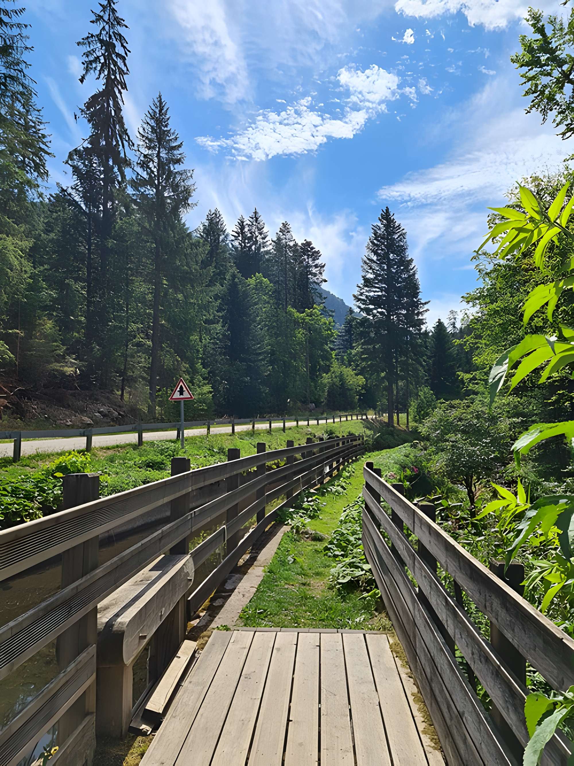Scierie du Lançoir à Ban-sur-Meurthe-Clefcy