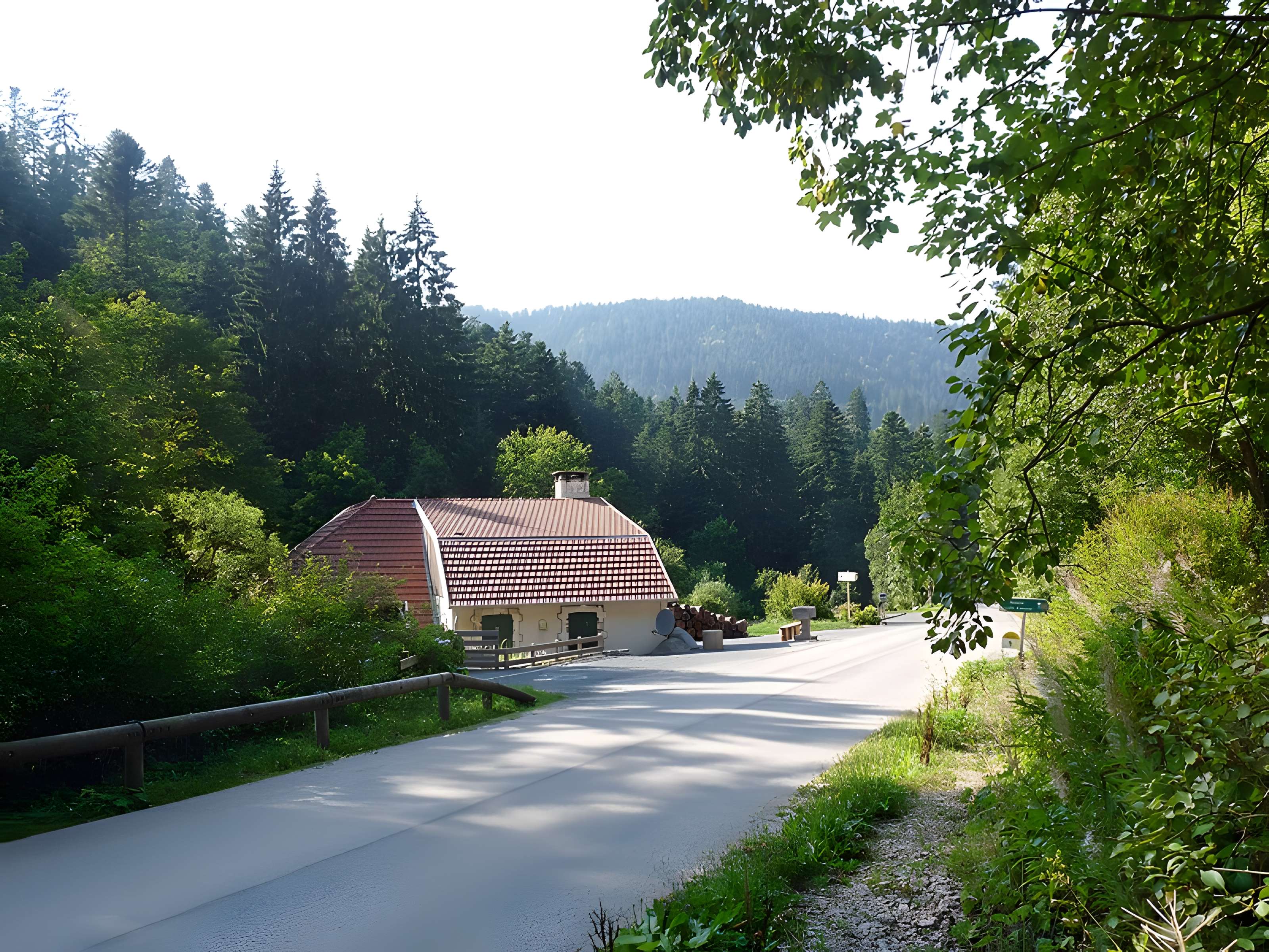 Scierie du Lançoir à Ban-sur-Meurthe-Clefcy